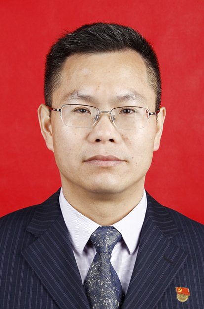 《面向对象程序设计基础》等相关专业课