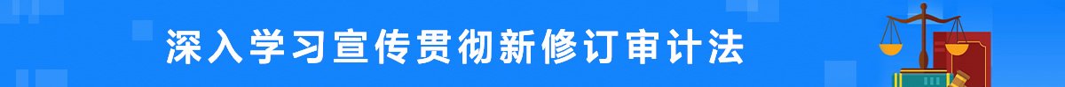 开云在线官网宣布成为多特蒙德官方合作