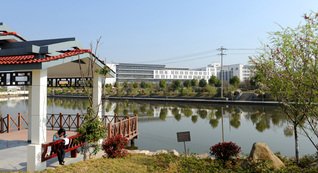 正文适合核对表述