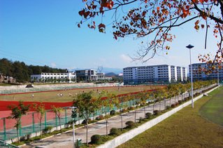 同题参见如某条暂不可用